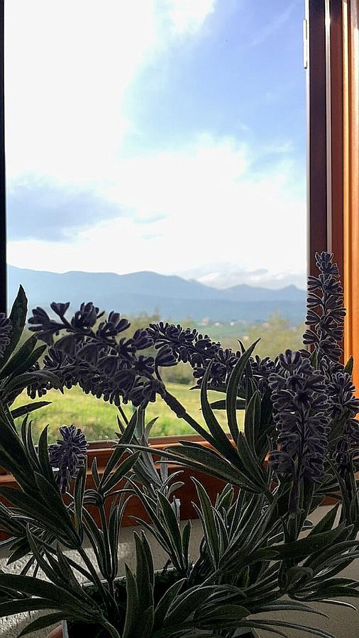 Oasi Macerina Villa Alanno Ngoại thất bức ảnh